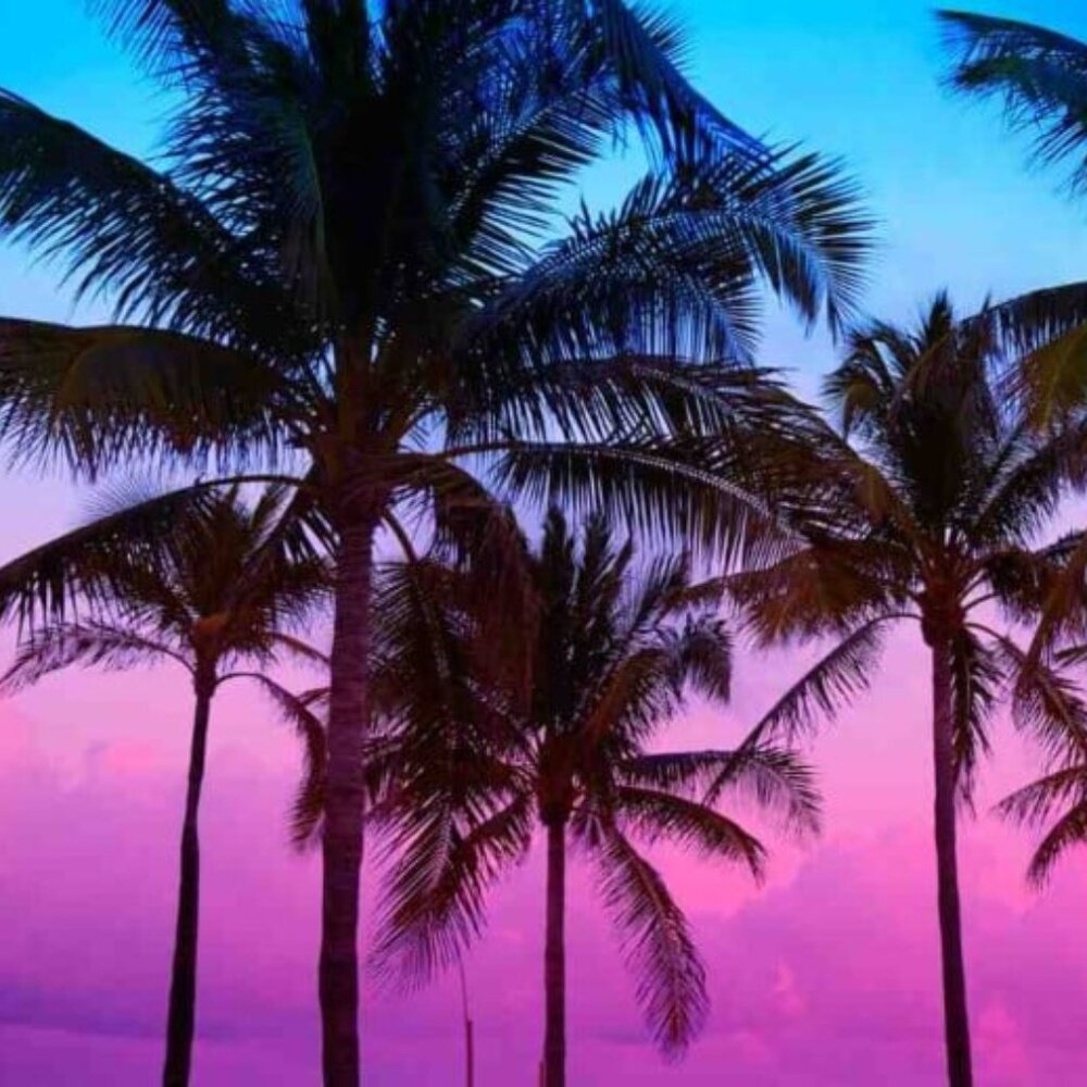 Meet your Posher, Jeanette